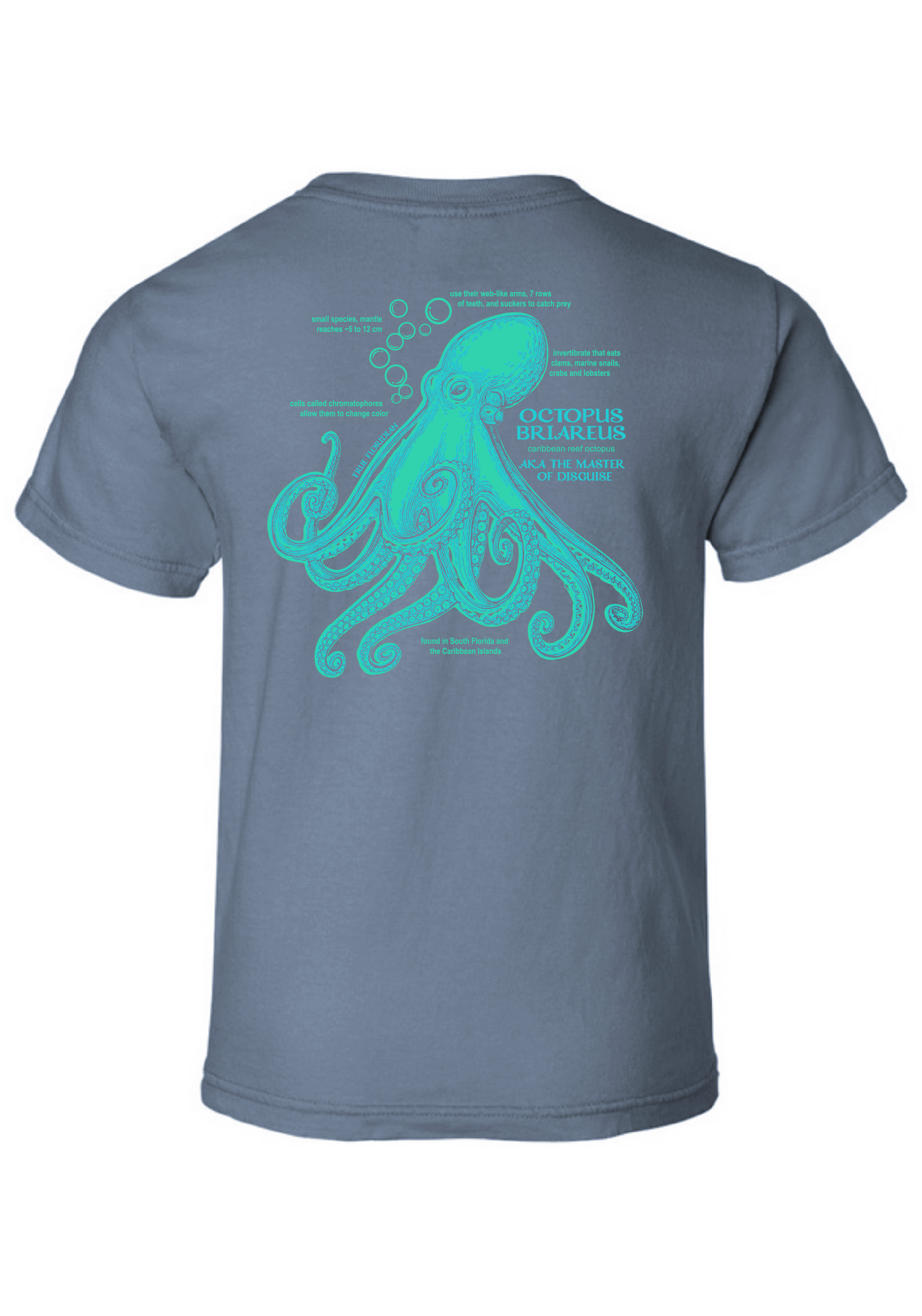 Octopus final-04.png