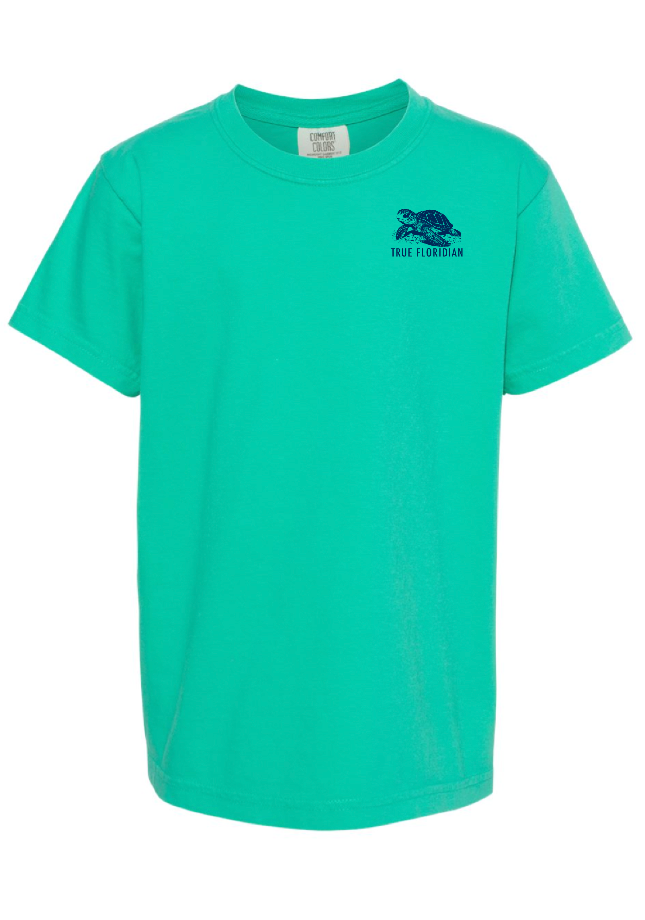 Loggerhead front.png