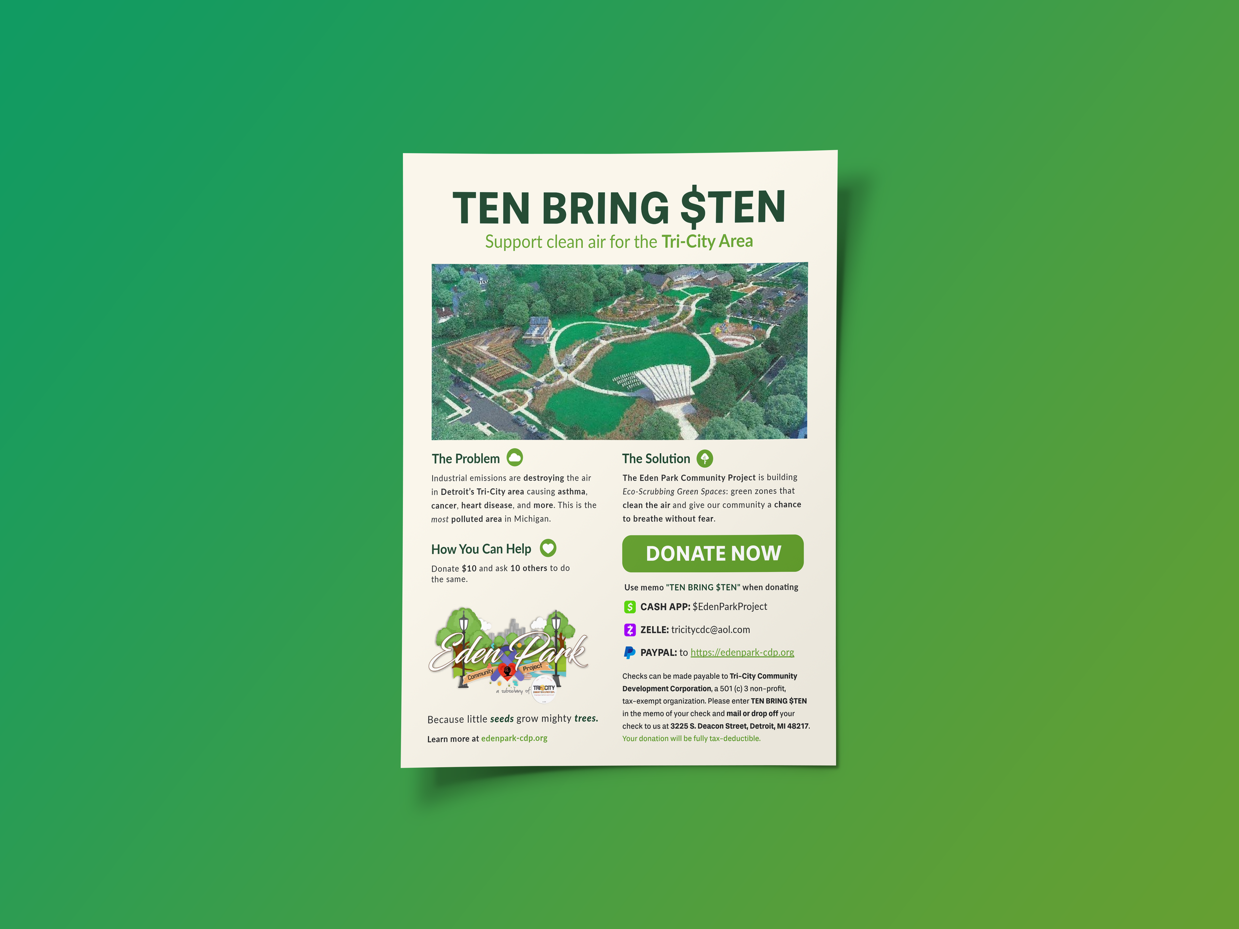 Eden Park Community Project: Flyer Design