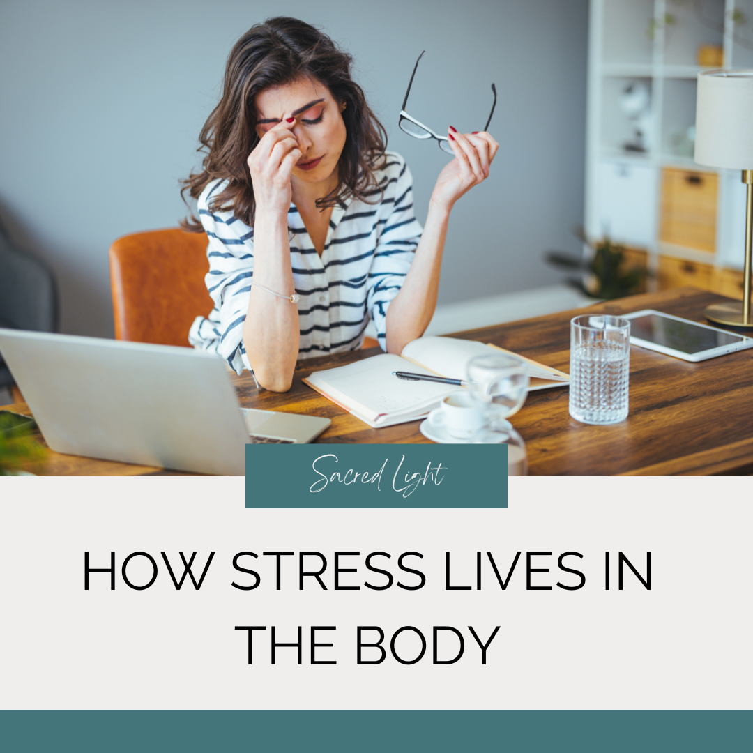 How Stress Lives in the Body