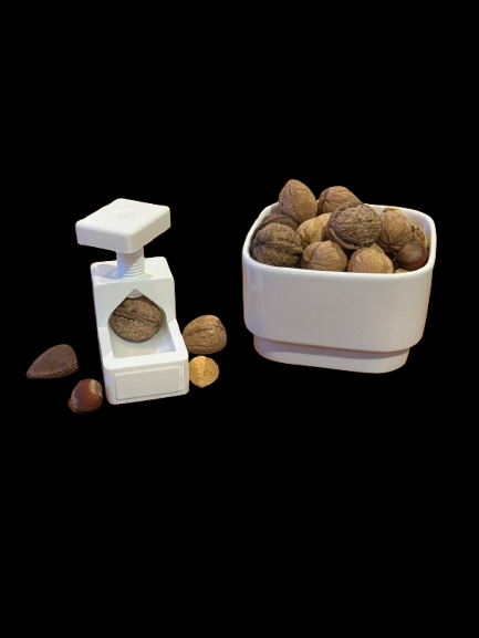 IMG_2455-removebg-preview.png