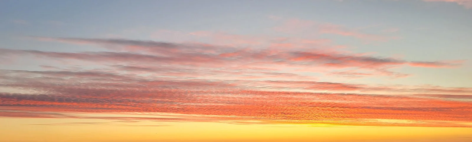 Air 2 – Metallic print op dibond – American box eik – 150 x 45 cm