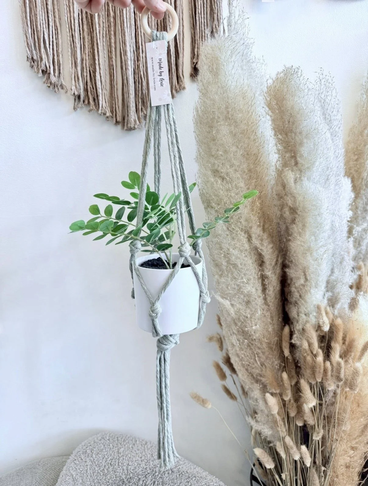 Mini Plant Hanger