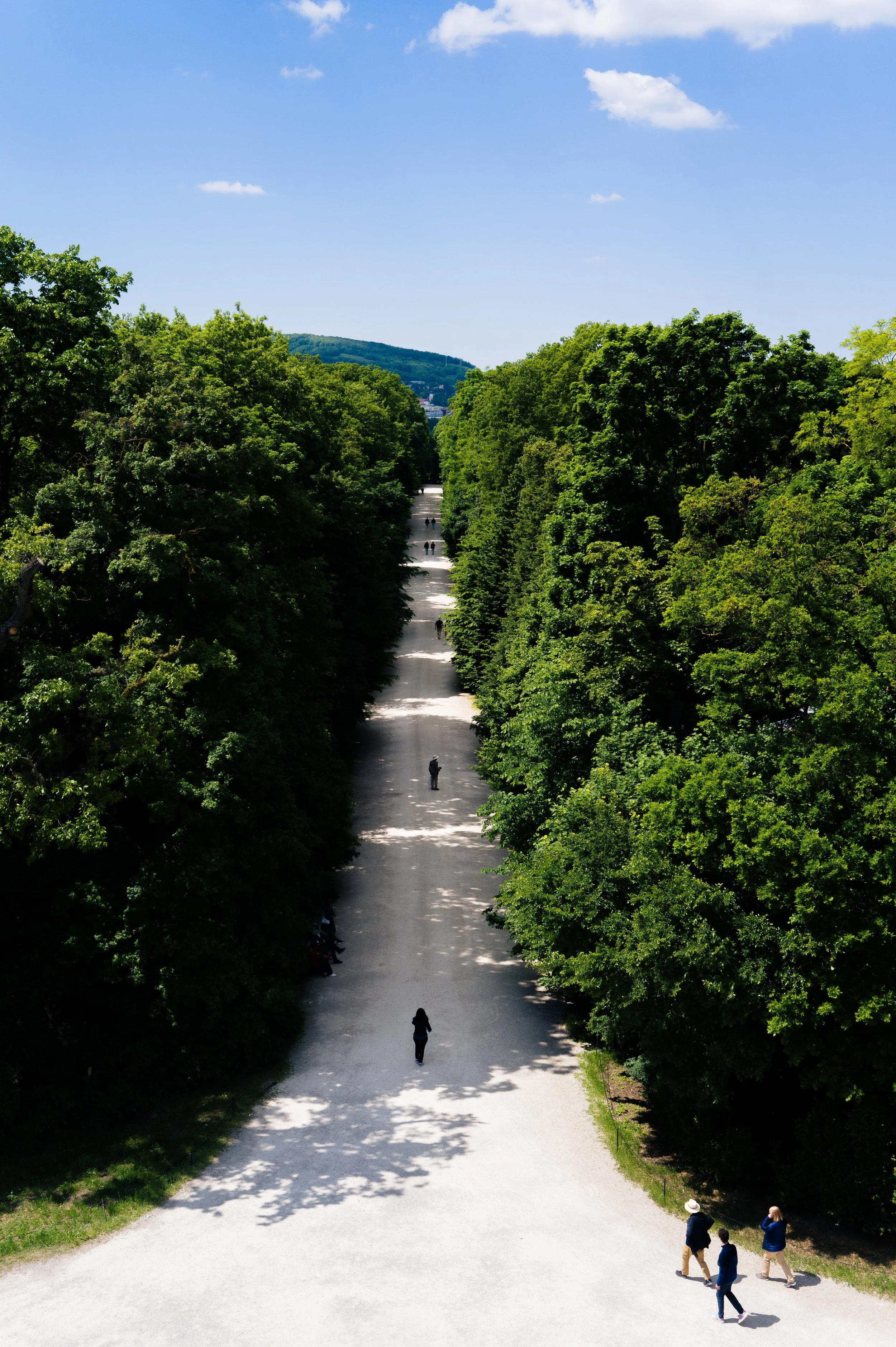 Vienne-267.jpg