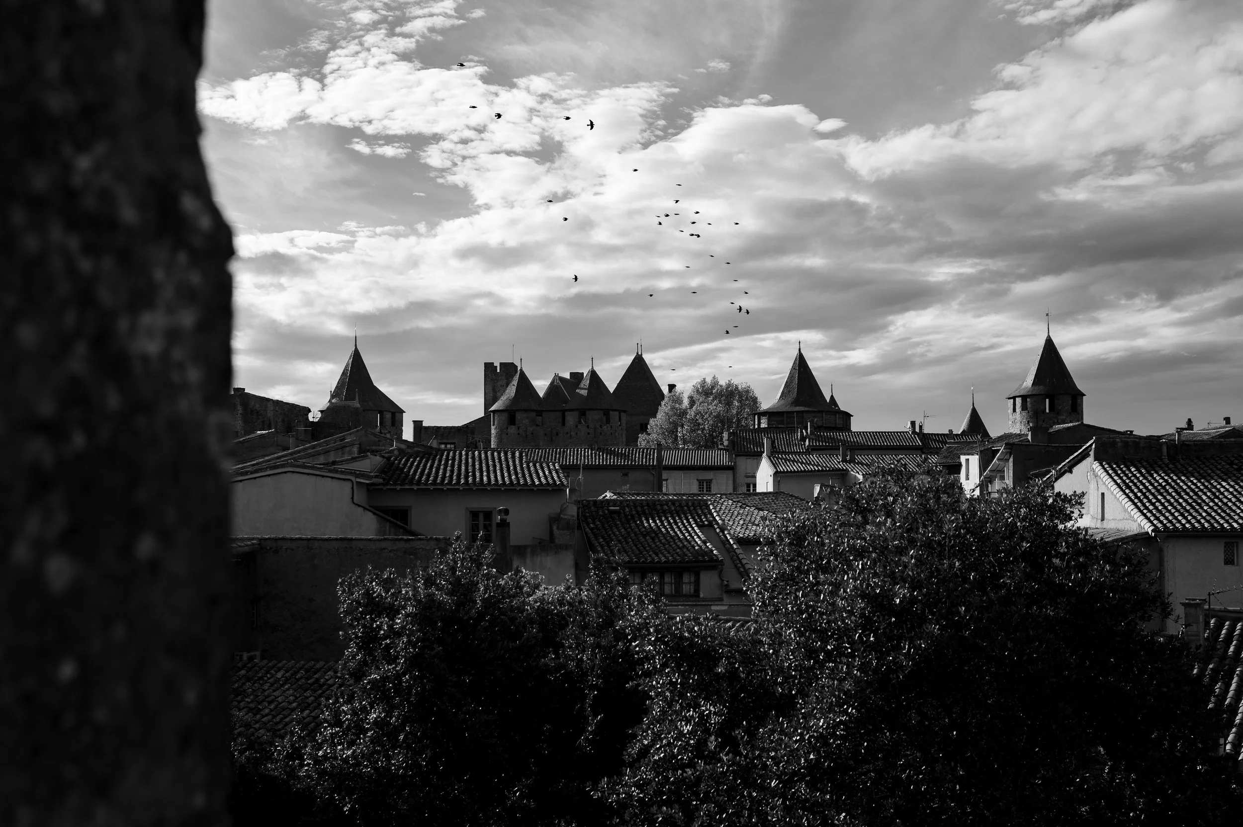 Carcassonne-99.jpg