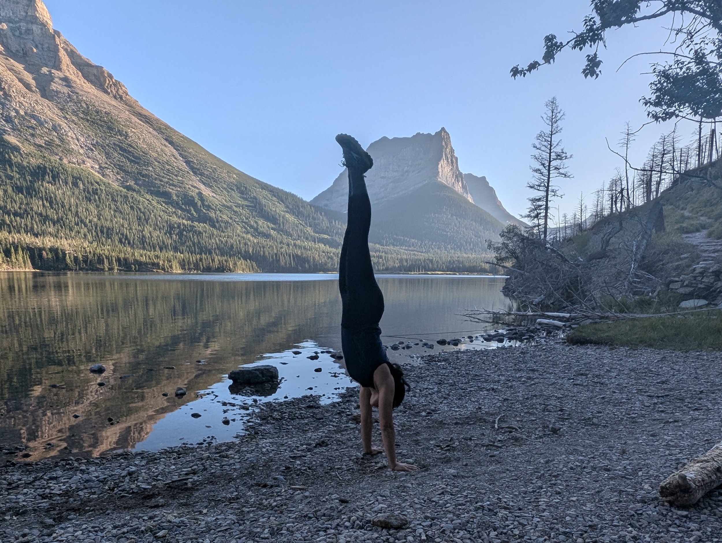 One of us did gymnastics for years...