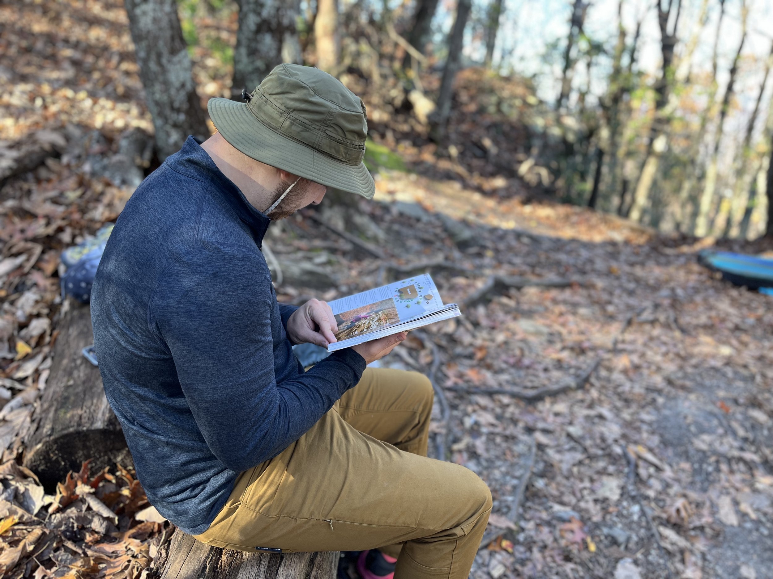 Consulting the guide book
