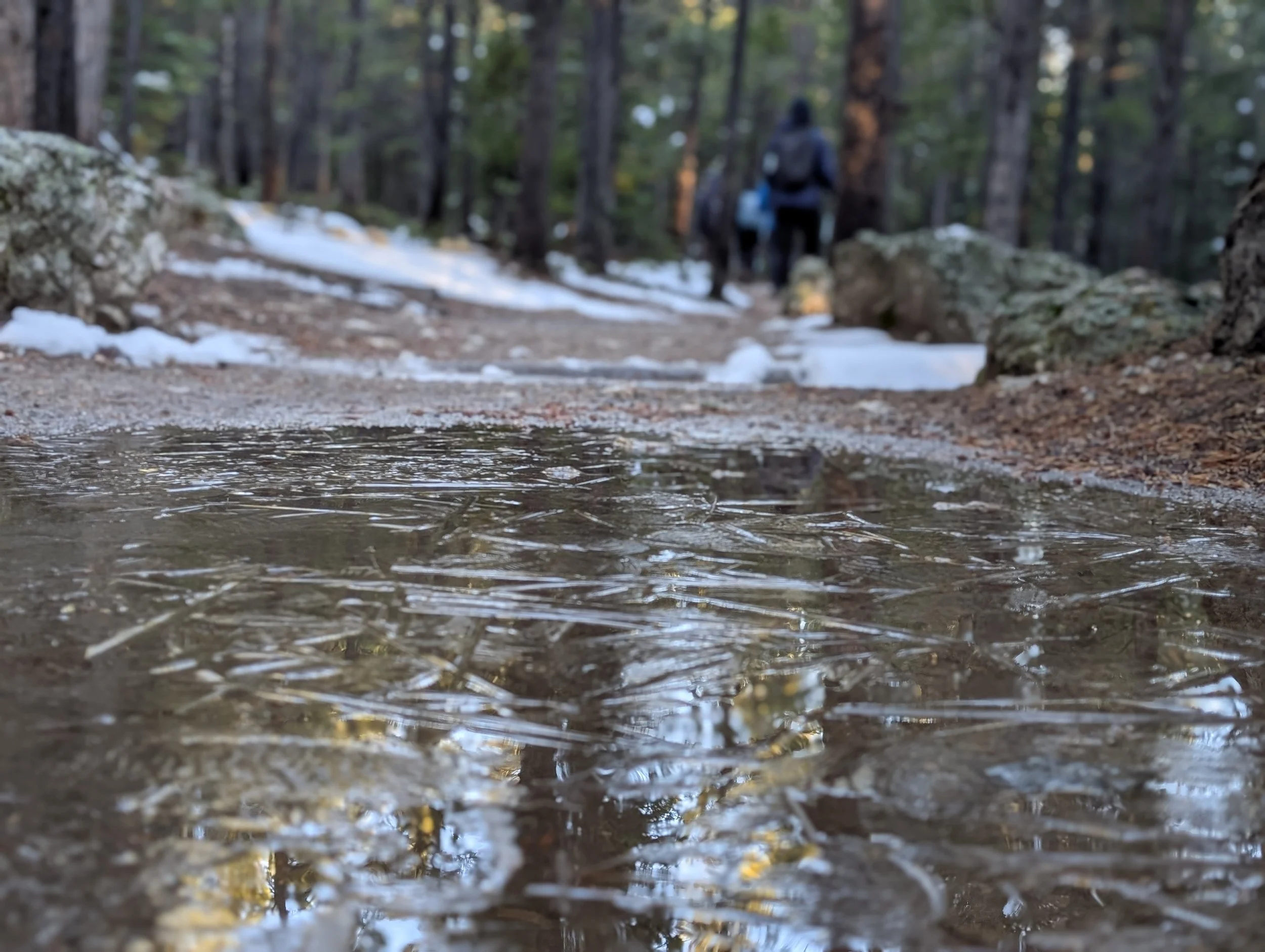  Frozen puddles on a cold morning 