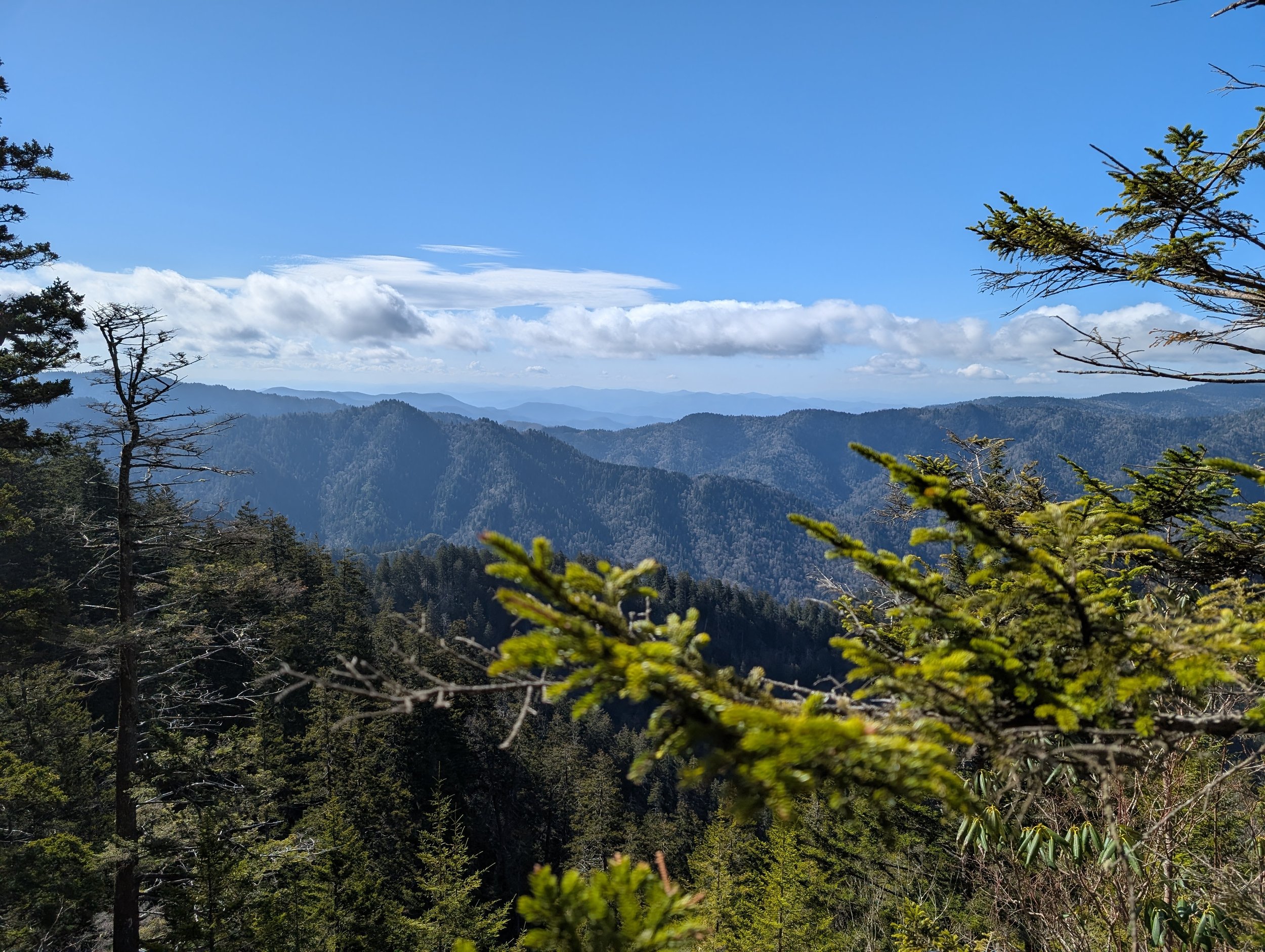 Honky-tonks and hiking in the Smokies