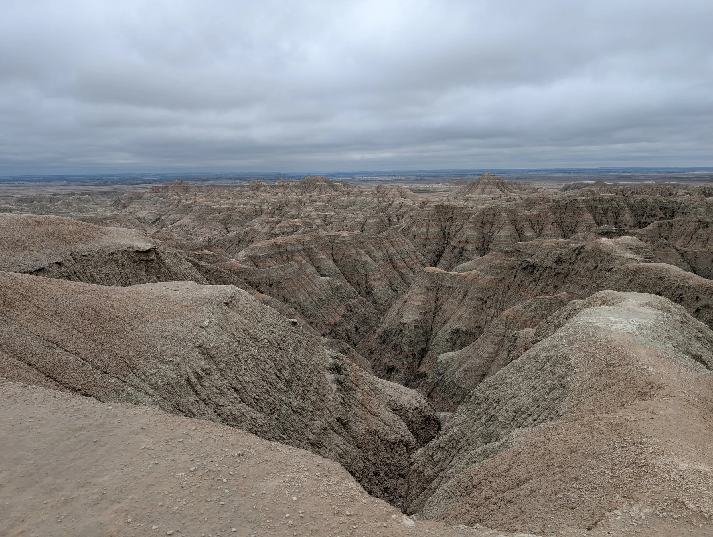 PXL_20260427_194026932.jpg