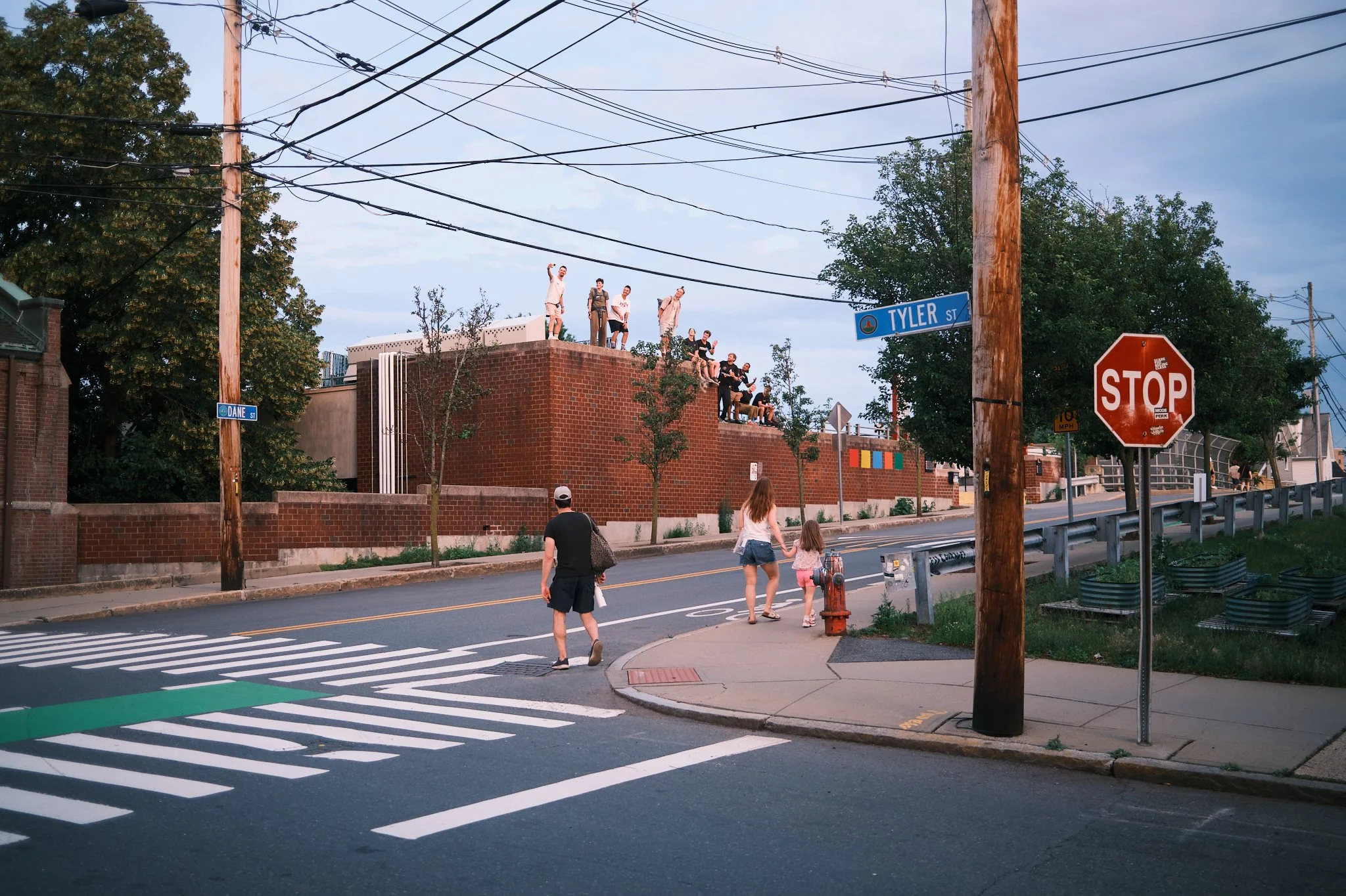Early_Summer_2026 6.jpg