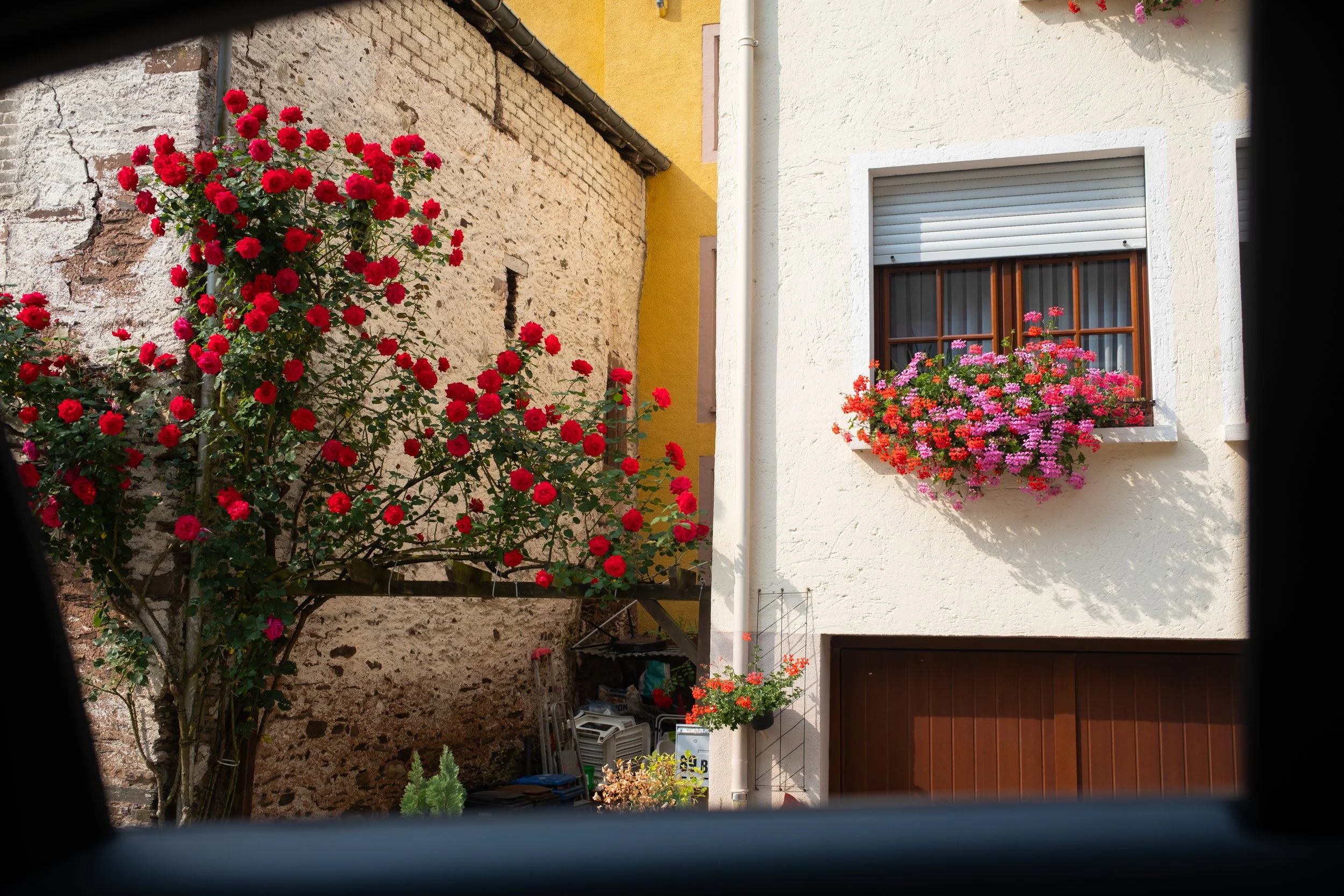 a+p_euro_adventure_-098.jpg
