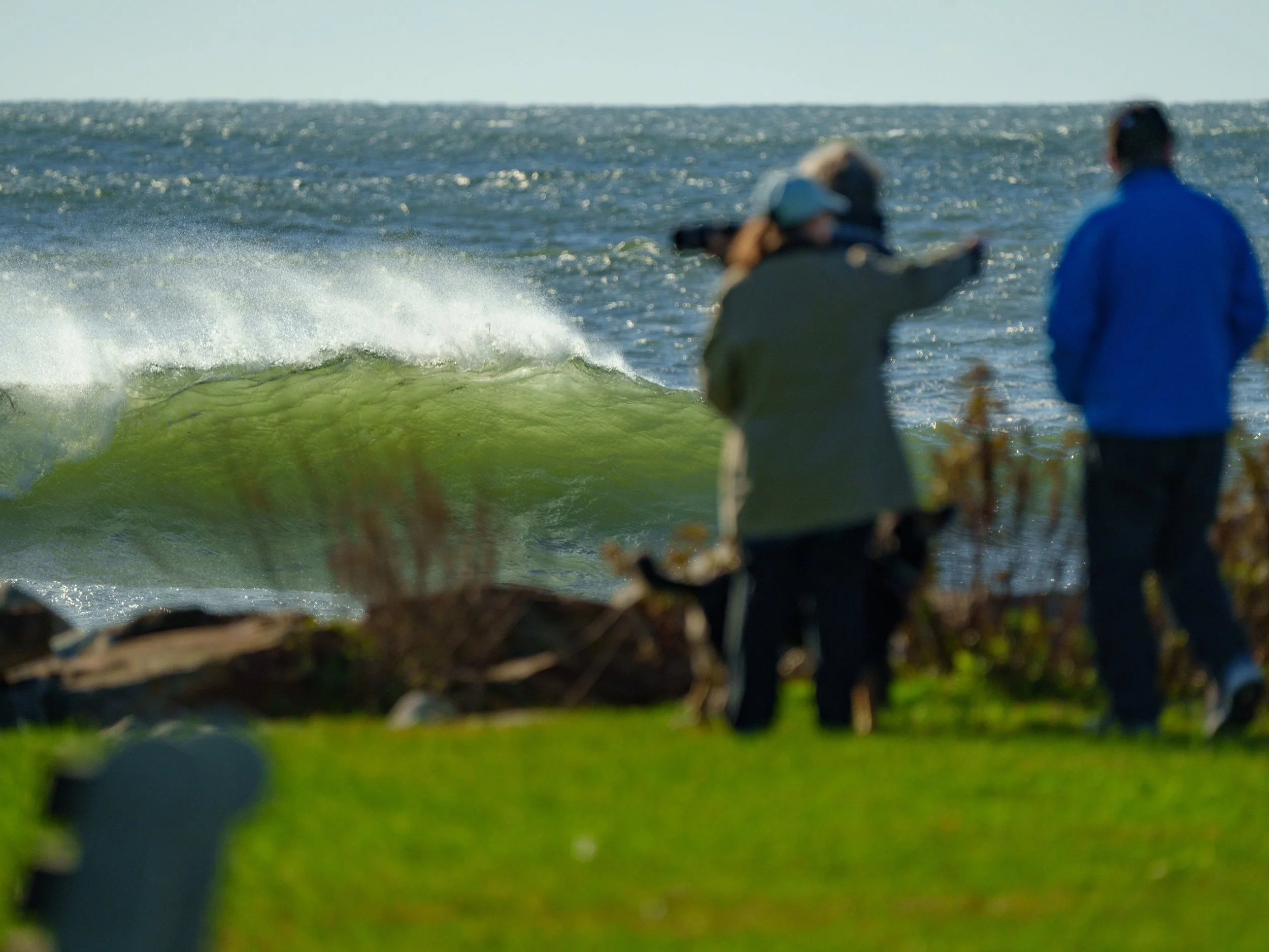 Falling for New England