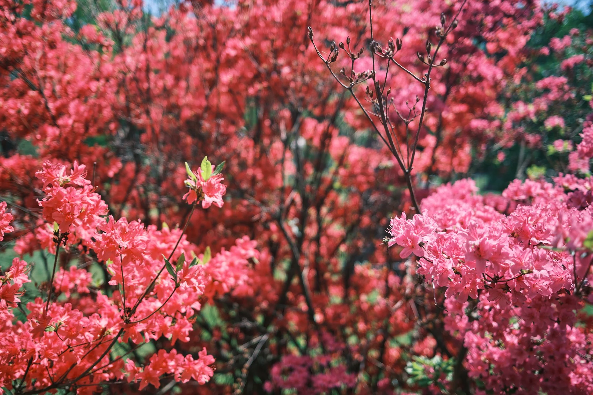 May_26 16.jpg