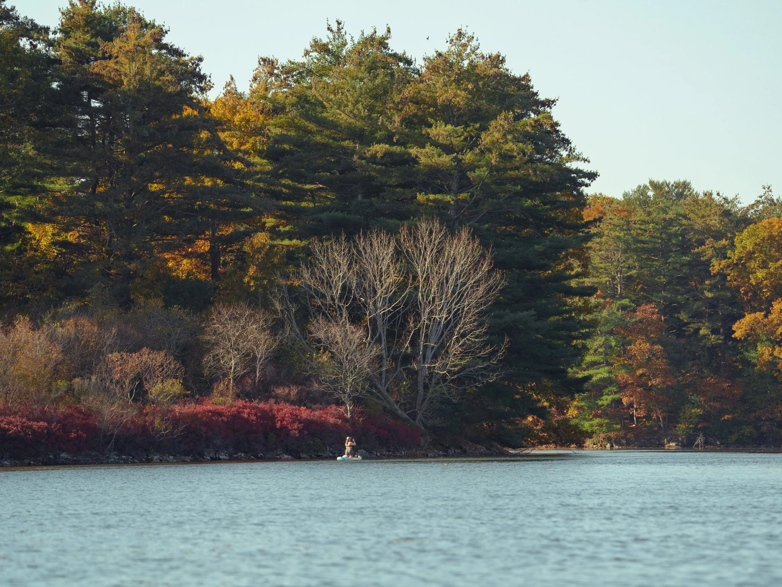 Maine putt pt 4
