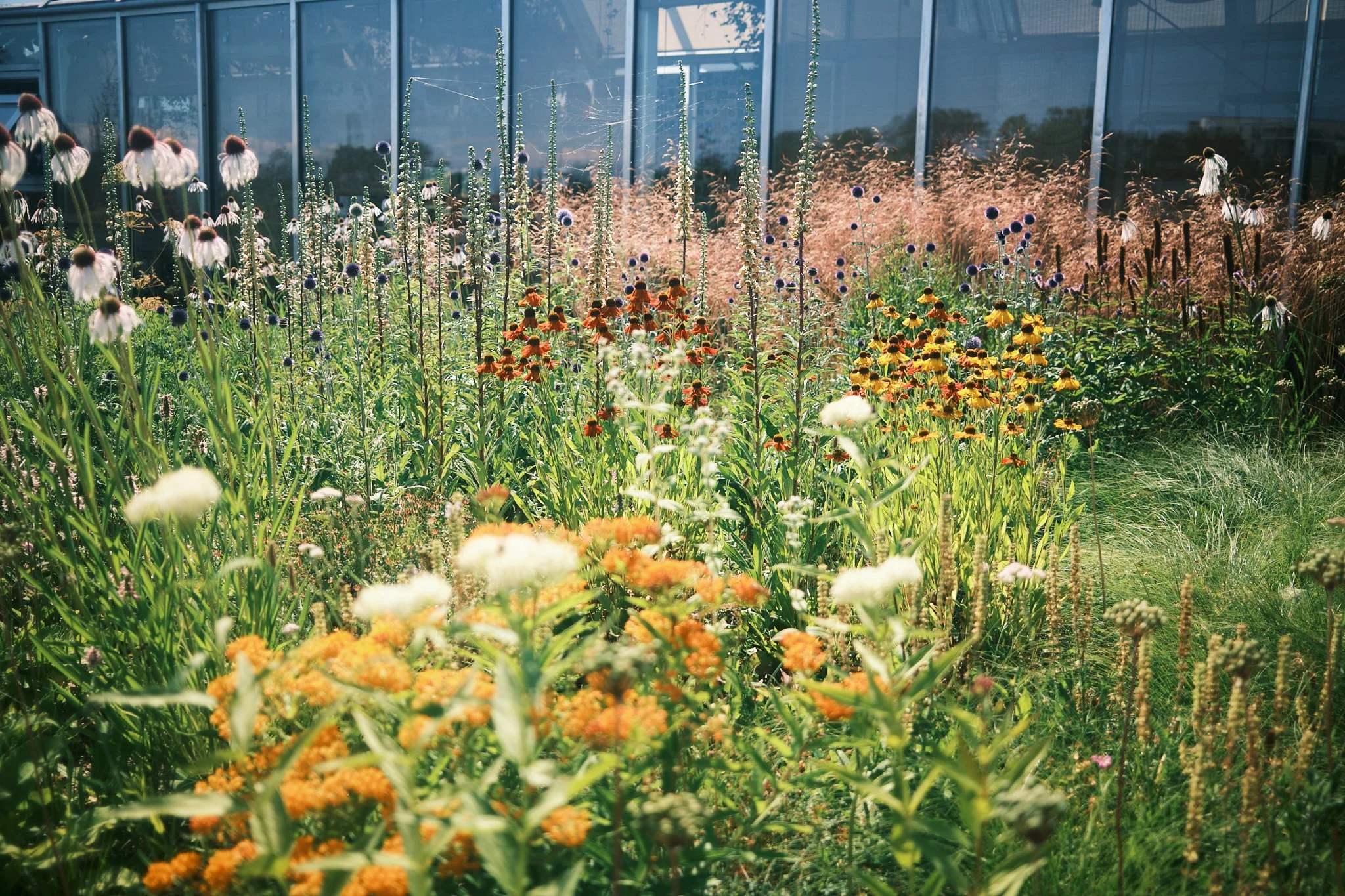 Copenhagen_Fujifilm 37.jpg