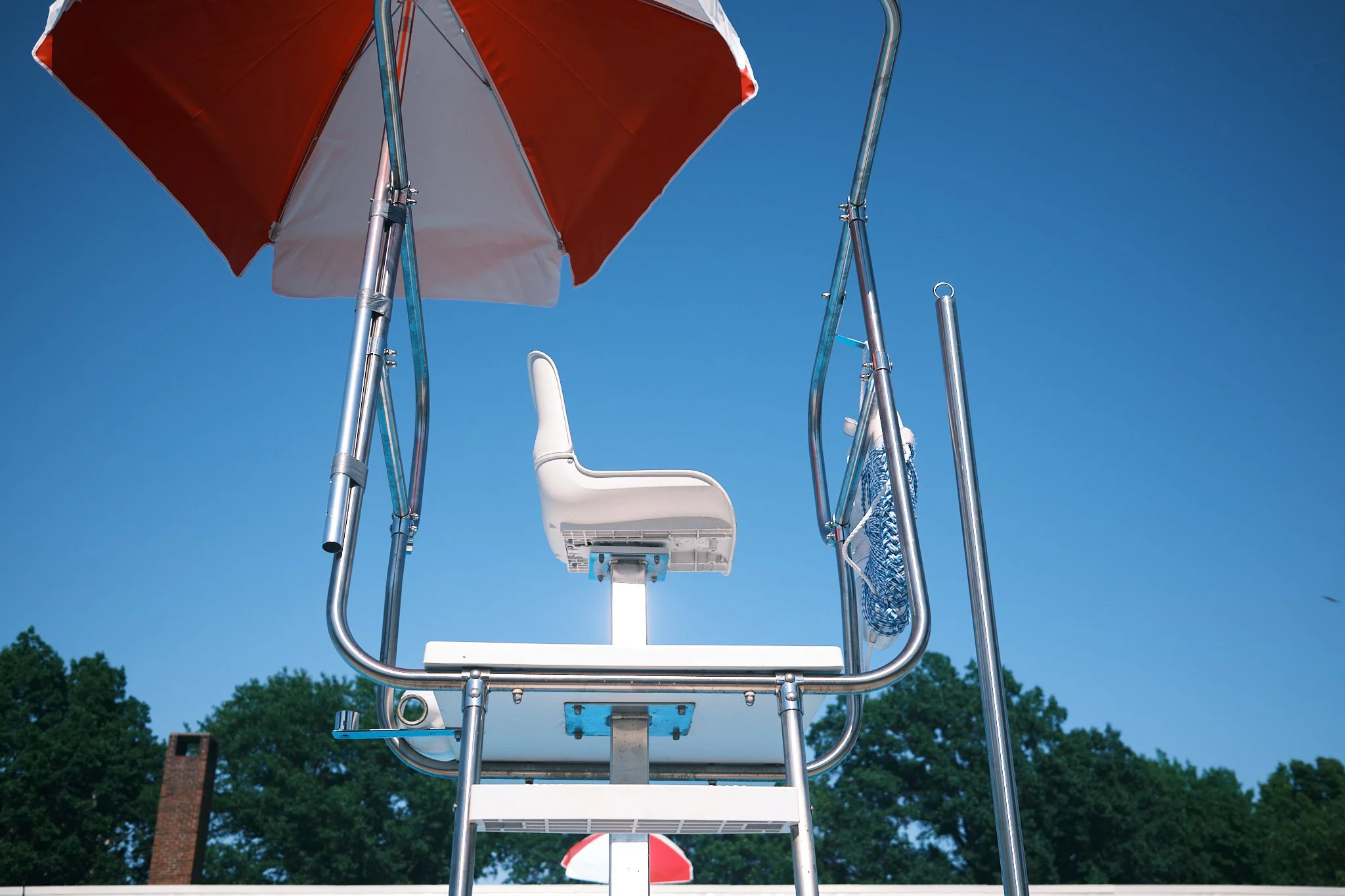 Early_Summer_2026 7.jpg