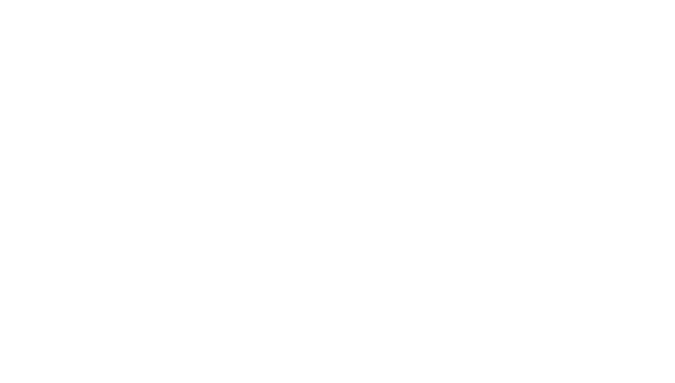 Vision &amp; Verve