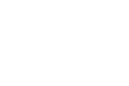 pld-nyc.png