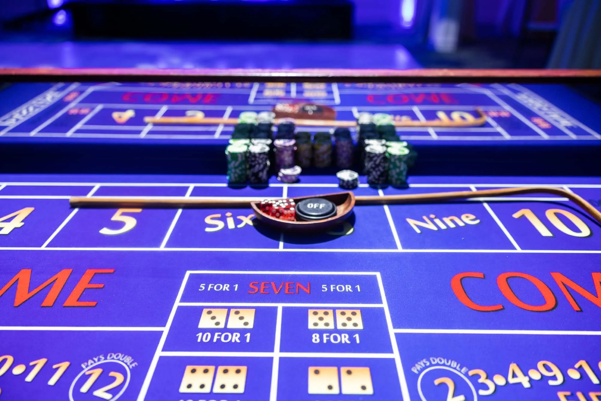 Photo credit: Diana Lee Photography