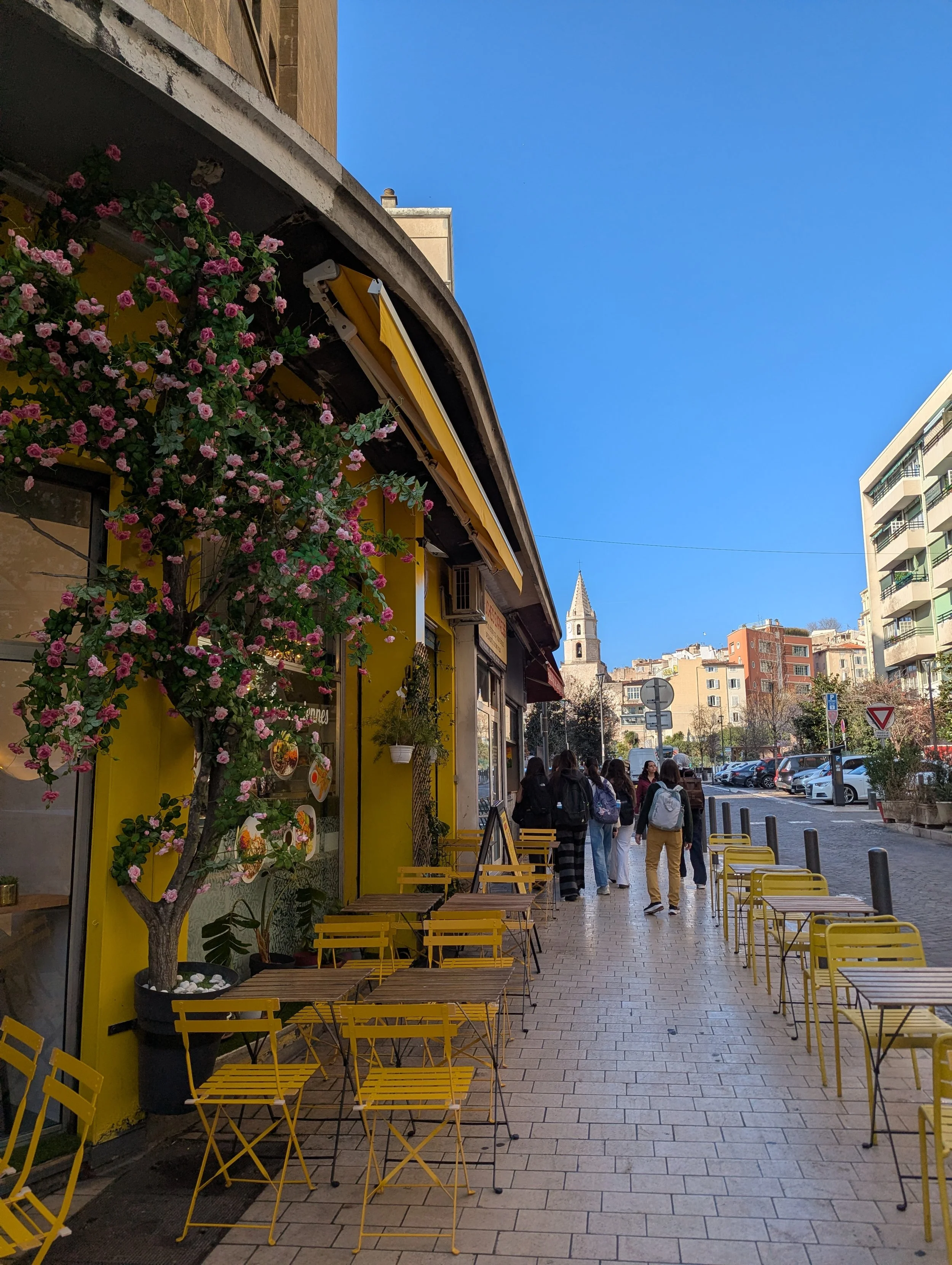 Marseille Walk with Flowers.jpg