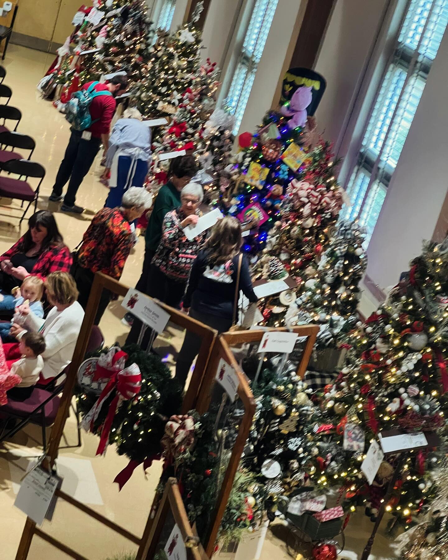 🎄✨ Our Festival of Trees had an incredible opening day! 🌟 Don't miss your last chance to experience the enchanting display of trees and wreaths &ndash; join us tomorrow from 1-5 pm. The grand finale awaits with a live auction starting at 5 pm! 🕔✨ 