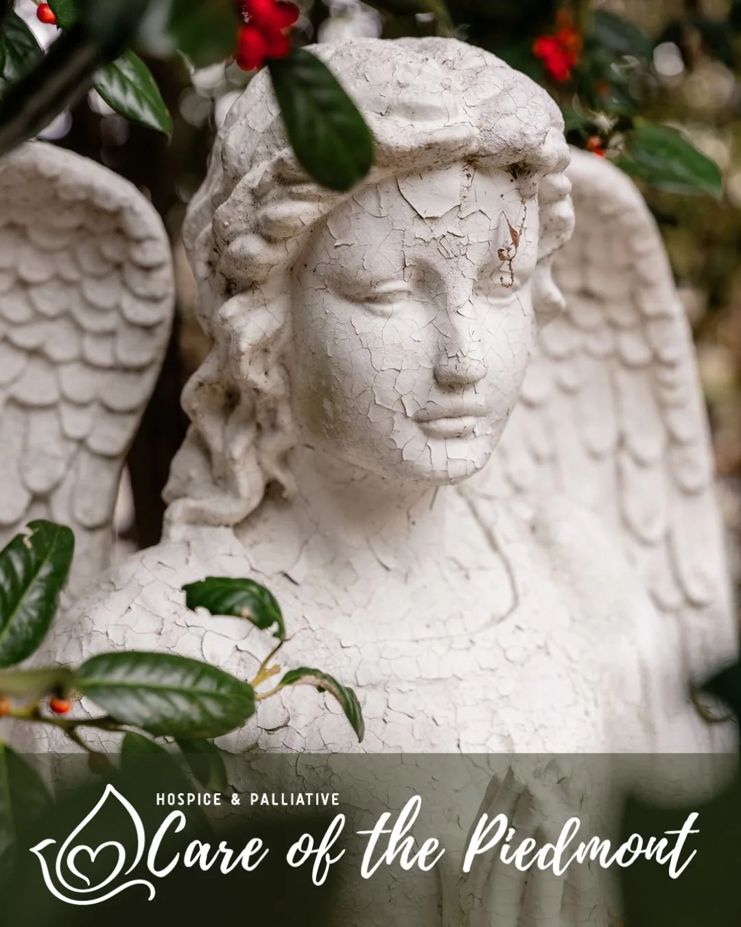 The ice storm has passed, and we are so glad to see the sunshine back at Hospice &amp; Palliative Care of the Piedmont! ☀️ Our administrative office resumed normal hours today, and our Hospice House remains open 24/7, here to support you and your lov