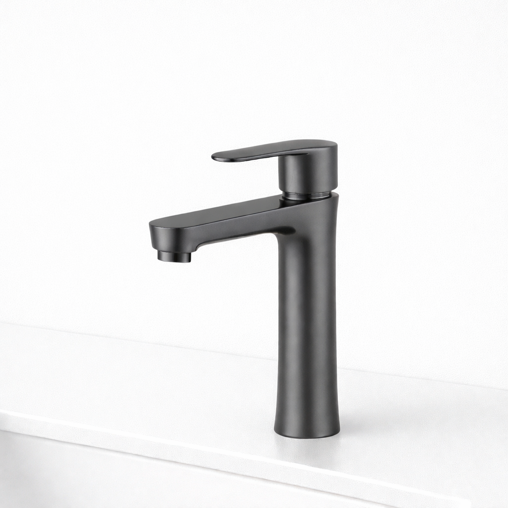 FR-GEMMA-SS-BASIN-GRAPHITE