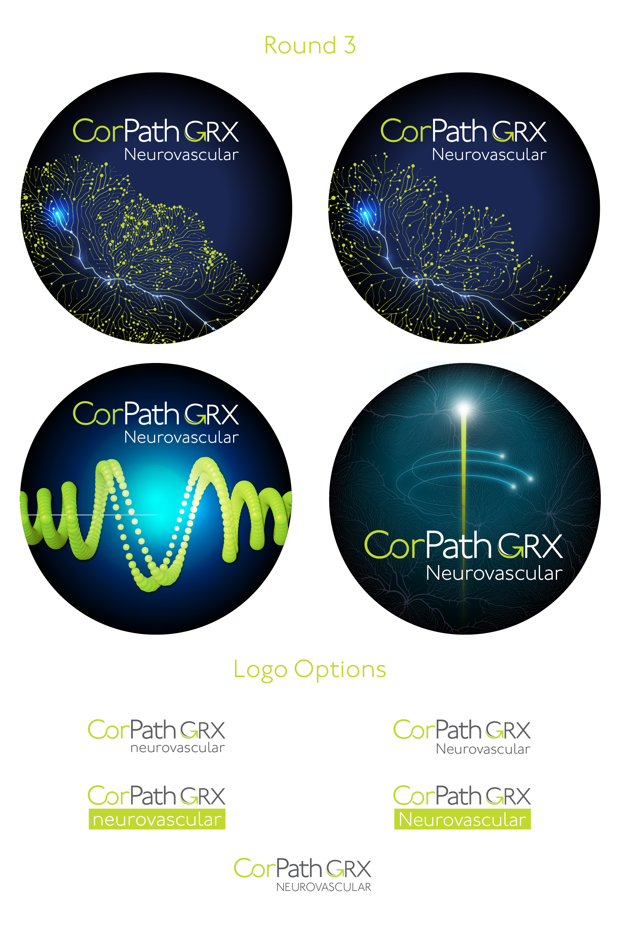 Portfolio_Corindus2.png