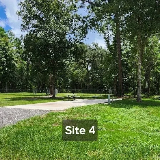 Site+4-3.jpg