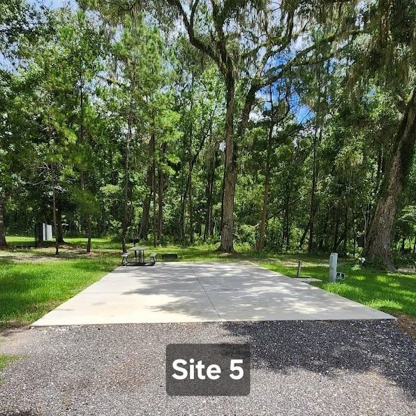 Site+5-2.jpg