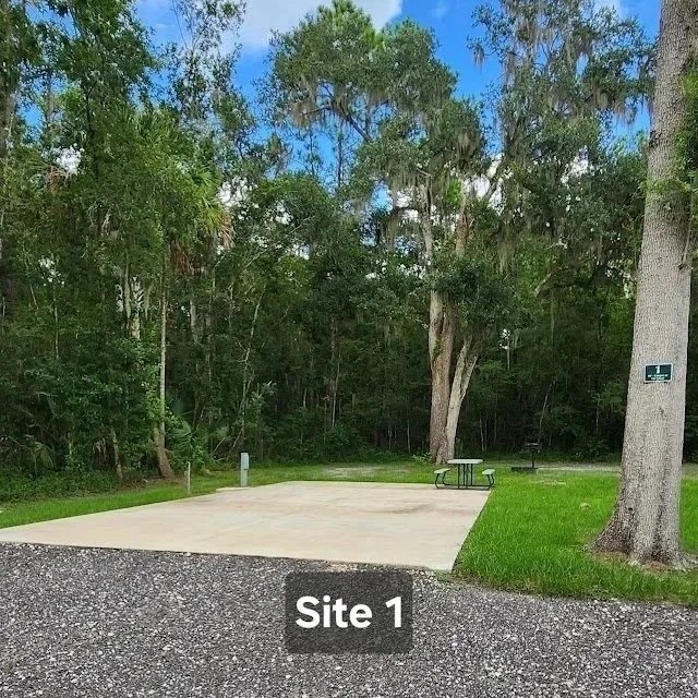 Site%2B1-2.jpg