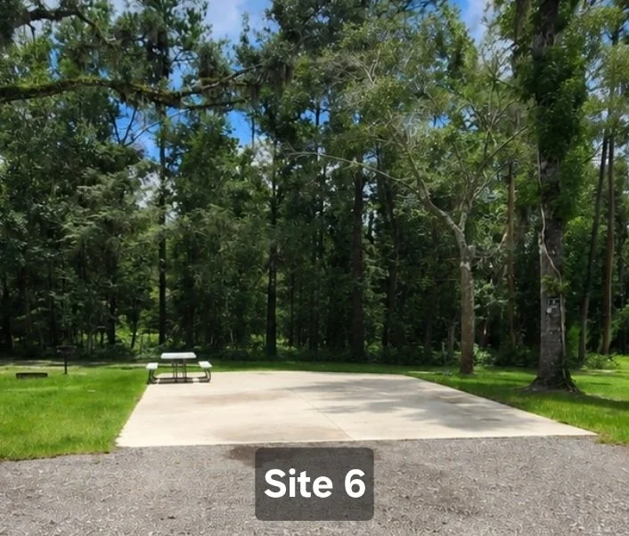Site 6