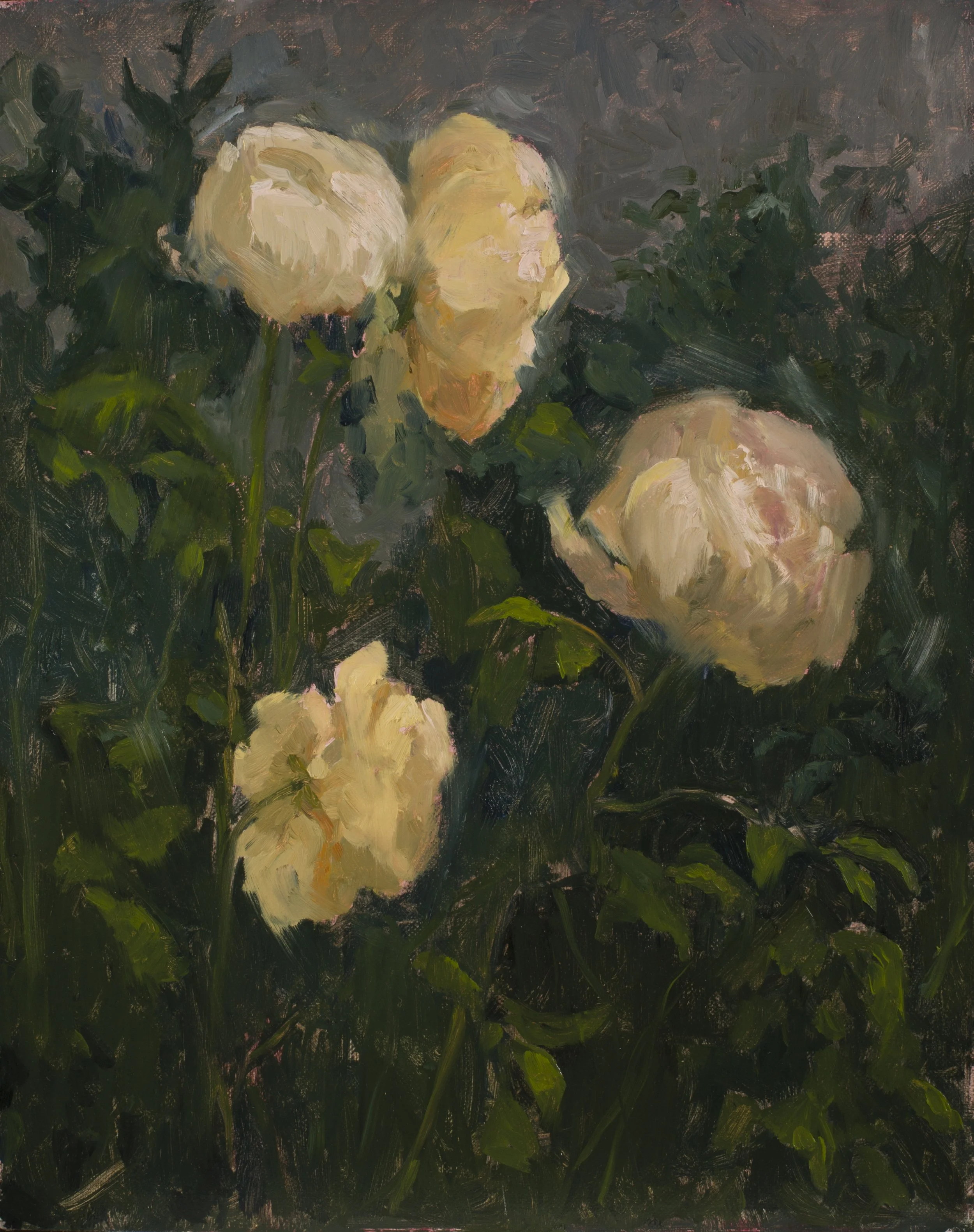 Summer Solstice Roses of Dunsink_Zuzanna Gorzalczynska.jpg