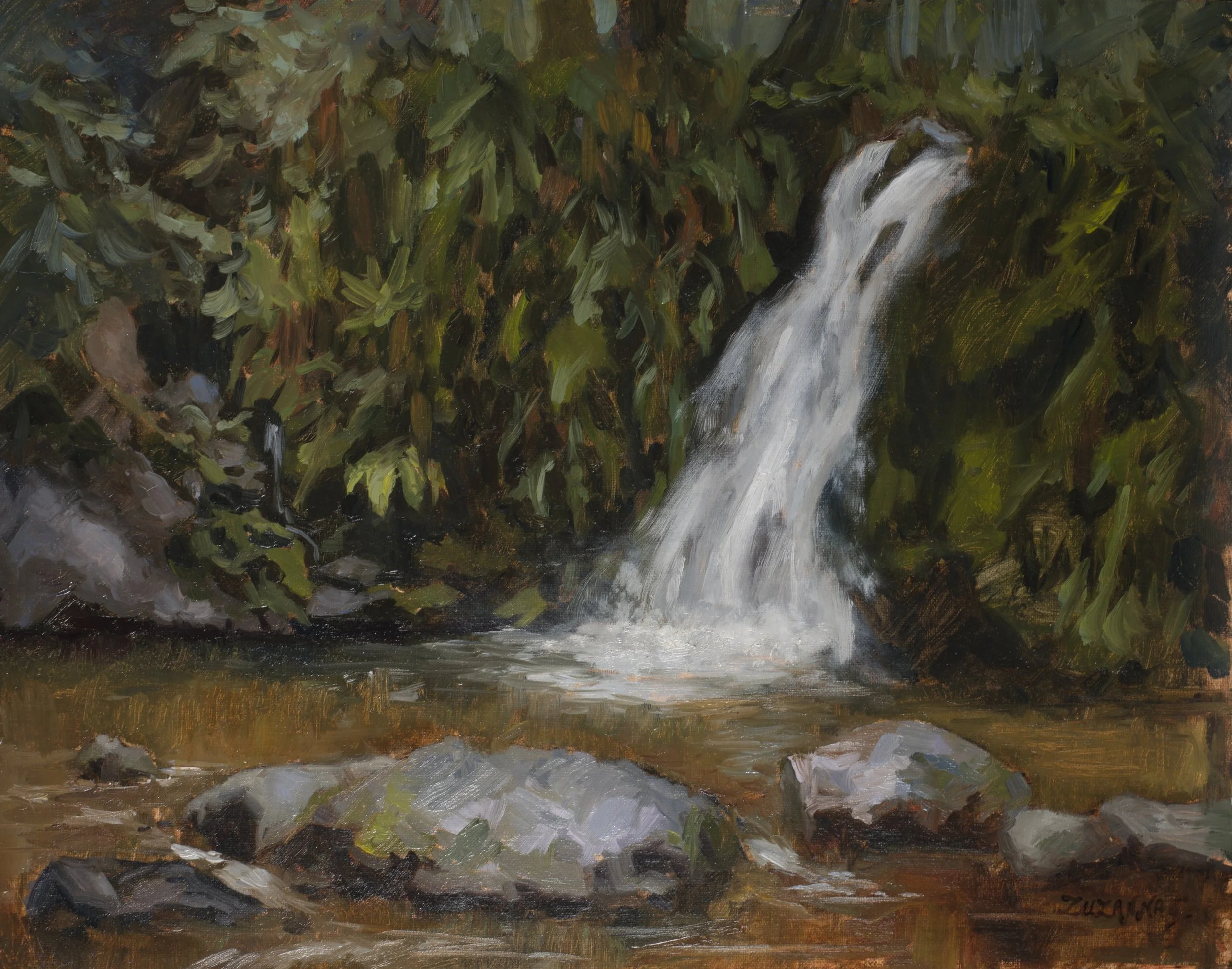 Musings At The Coolalingo Waterfall in Glenmalure_Zuzanna Gorzalczynska.jpeg