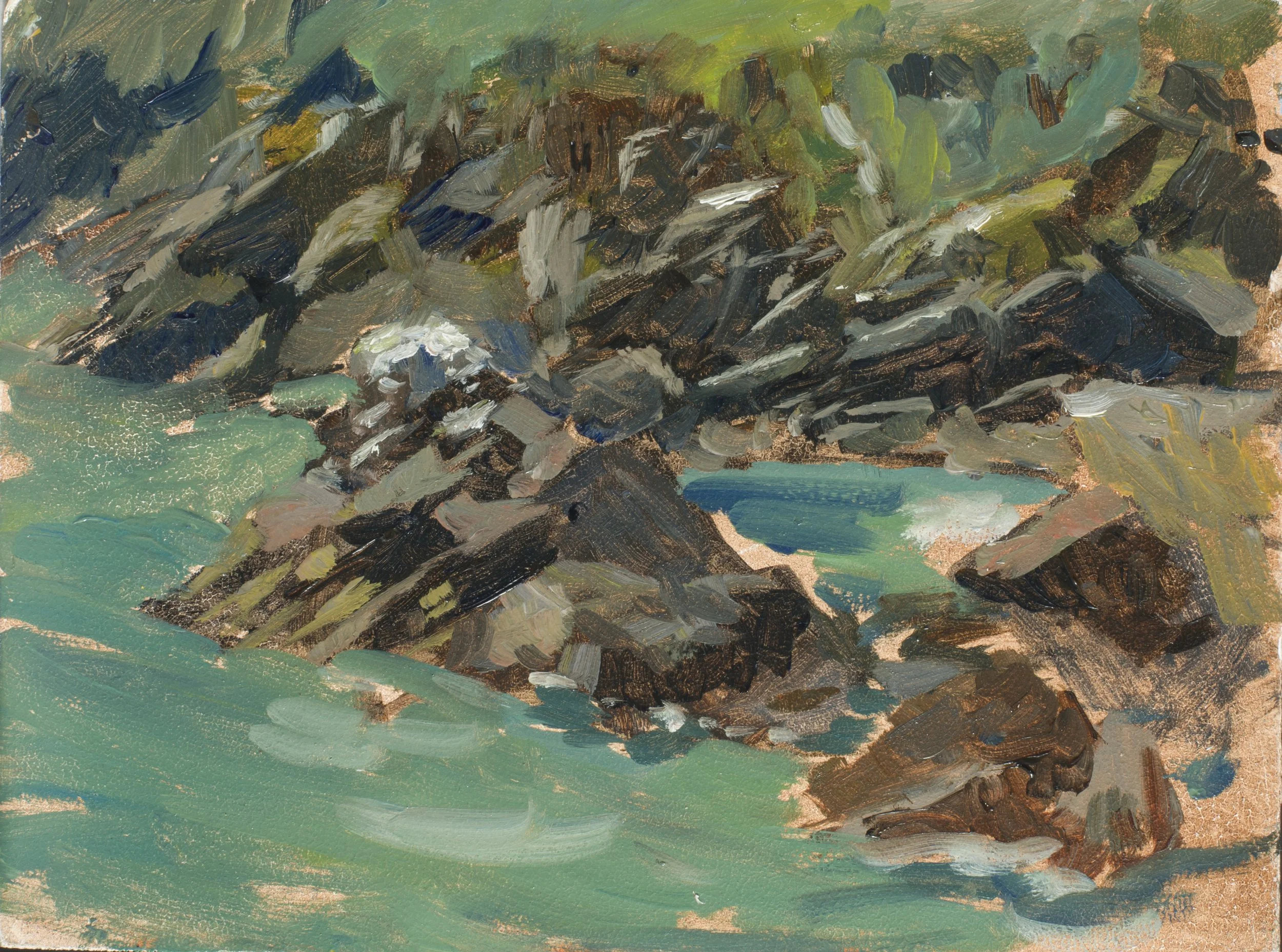 Saltee Island Sketch_Zuzanna Gorzalczynska.jpg