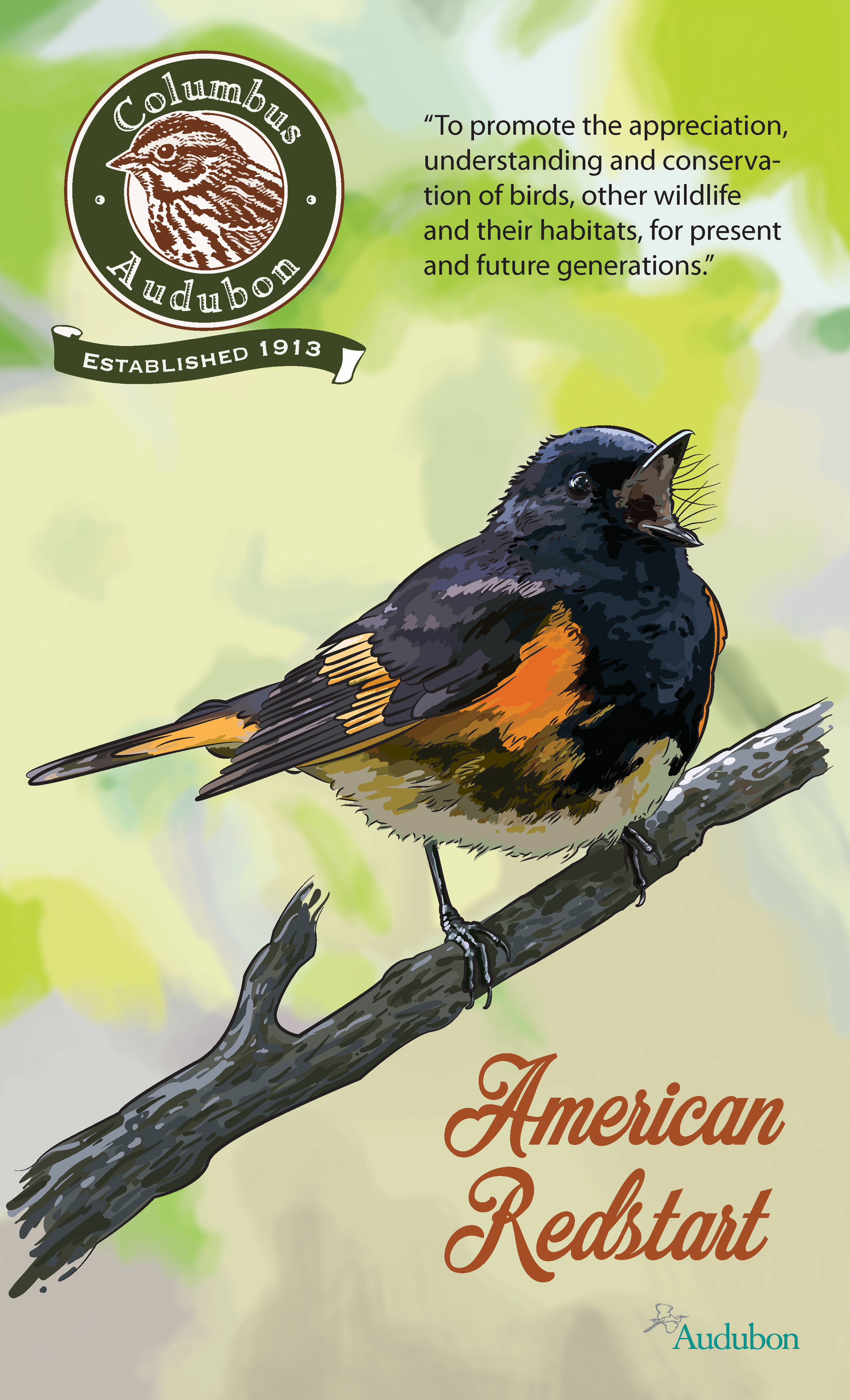 JWatson_Audobon_Redstart.png