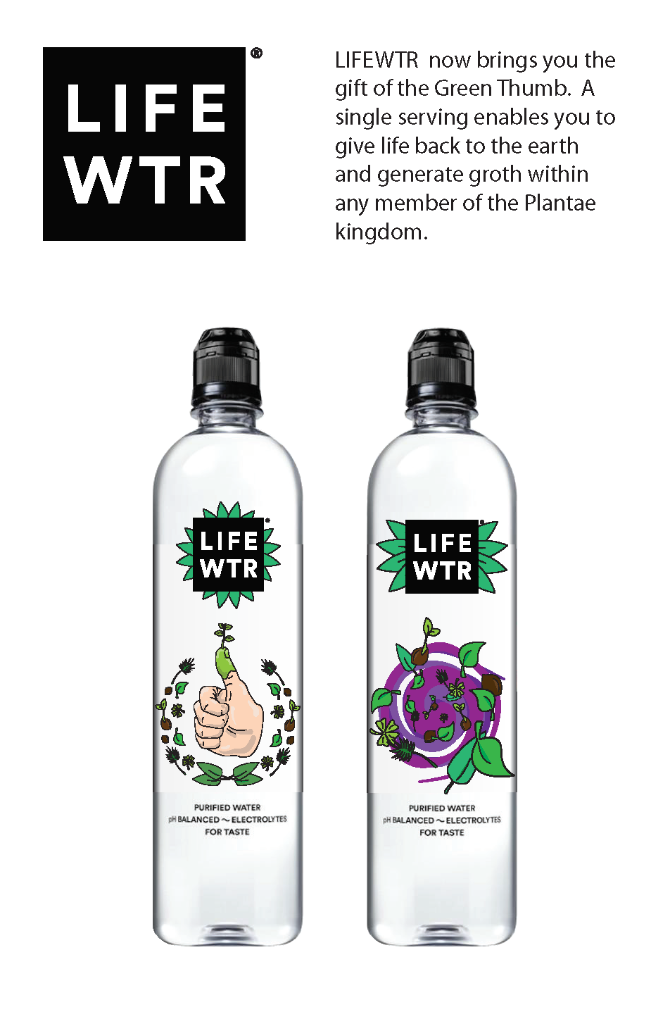 Logo & Package Design