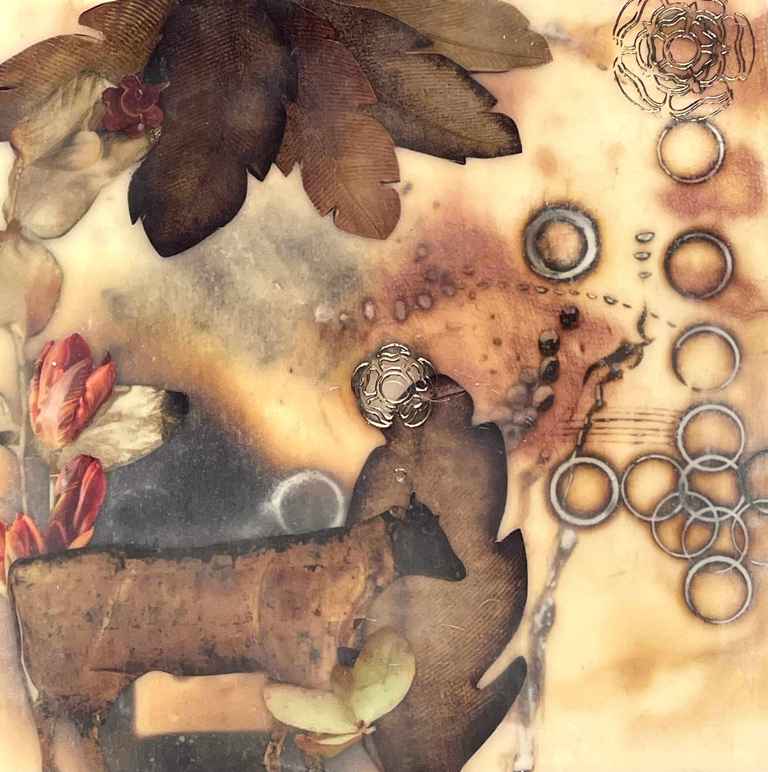 Seeing Through the Center