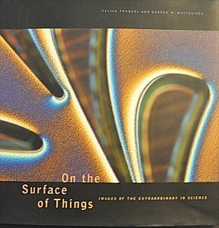 On the Surface of Things: Images of the Extraordinary in Science Hardcover –by Felice Frankel, G. M. Whitesides