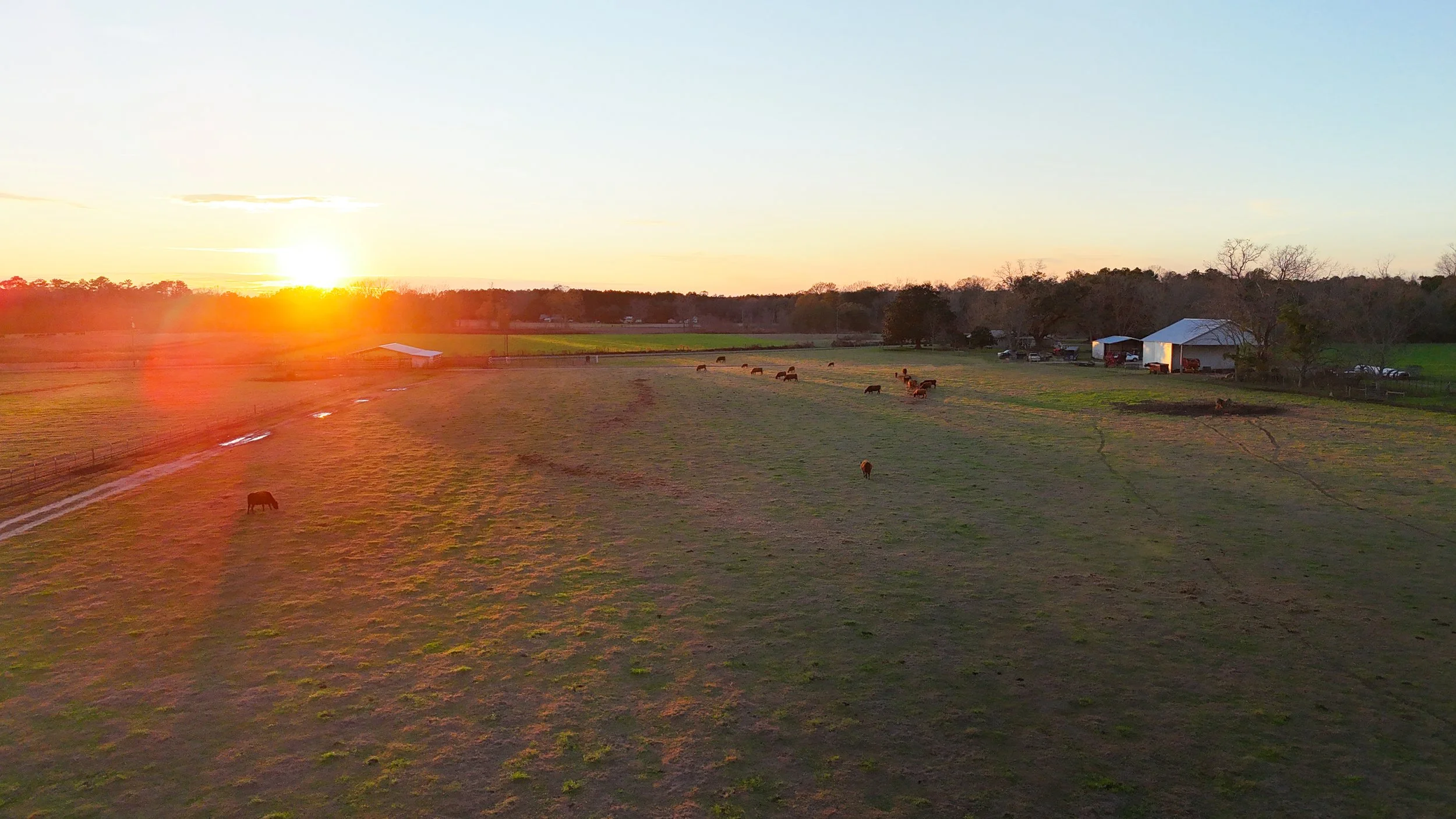 DJI_20260113161050_0195_D.jpg