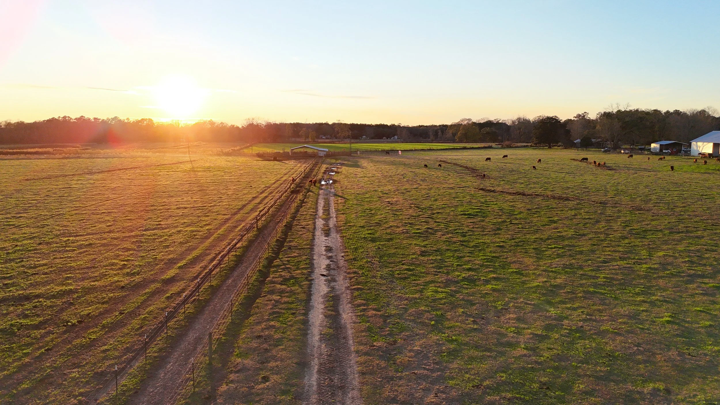 DJI_20260113160229_0179_D.jpg