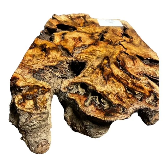 Burl Wood Supplier | Burl Slabs for Sale — Exotic Wood Source