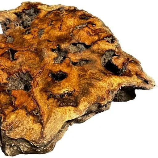 Burl Wood Supplier | Burl Slabs for Sale — Exotic Wood Source