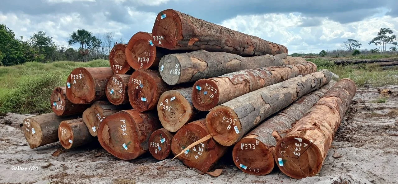 basralocus round logs.jpg