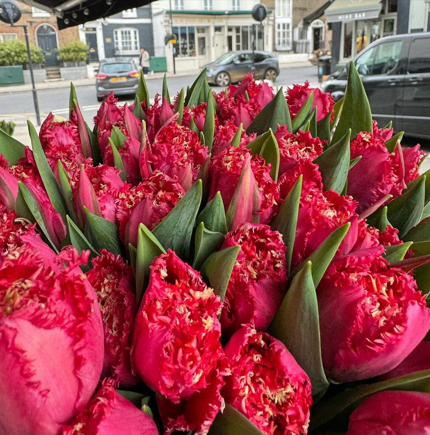 #johnandjessie #flowers #flowersofinstagram #londonflowers #londonflorist #flowershop #tulips #tulipsofinstagram #tuliplover #kensington #hollandpark #nottinghill #royalboroughofkensingtonandchelsea #london