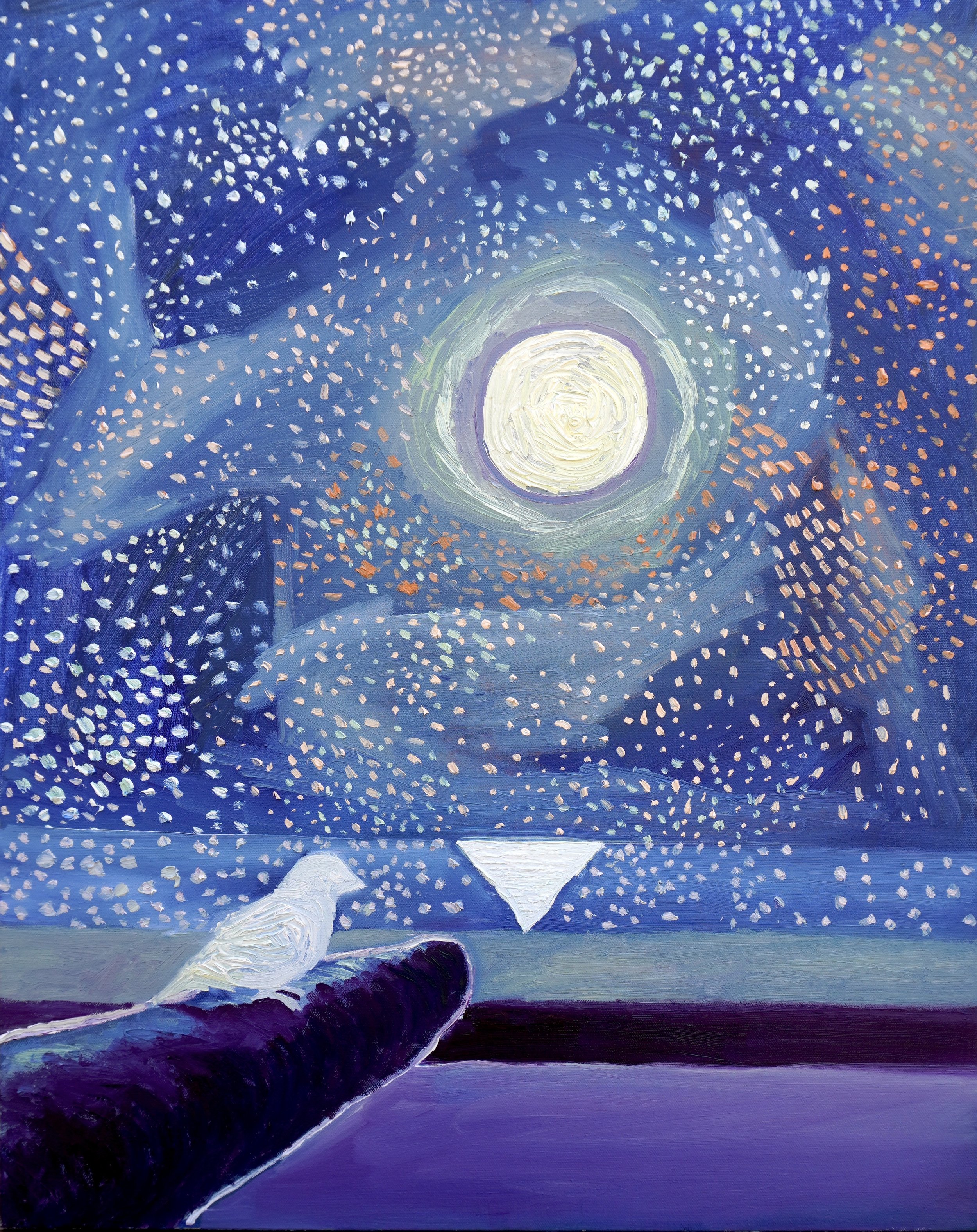 Bird in night sky