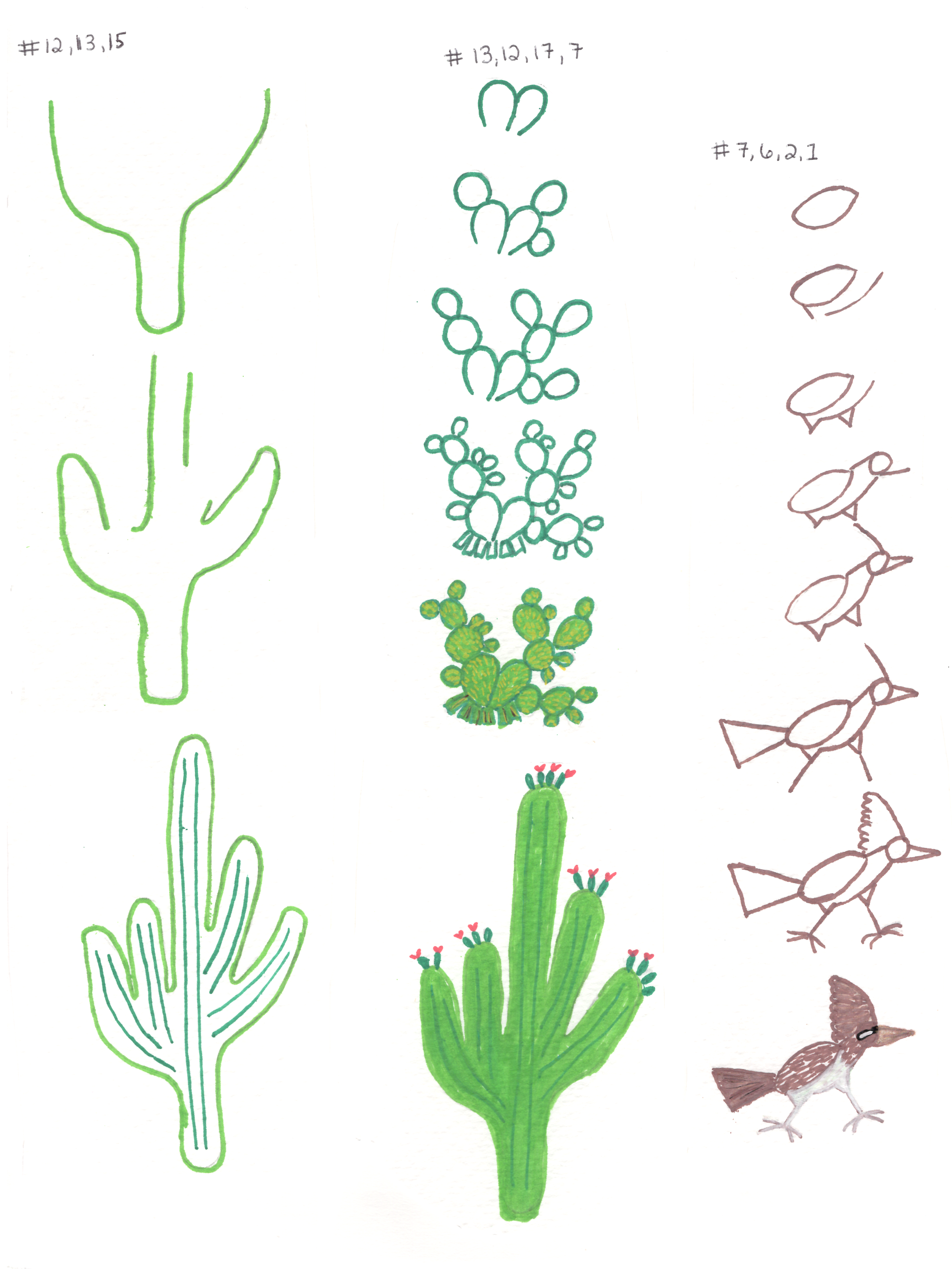 Cactus-Roadrunner-Steps-9x12.png
