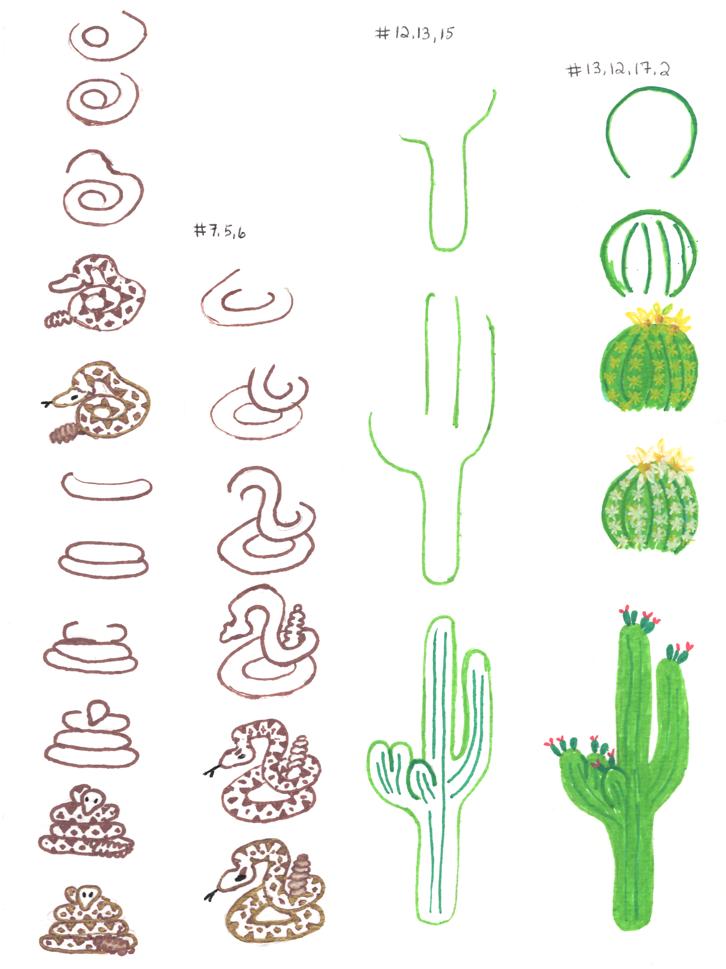 Rattlesnake-Cactus-Steps-9x12.png