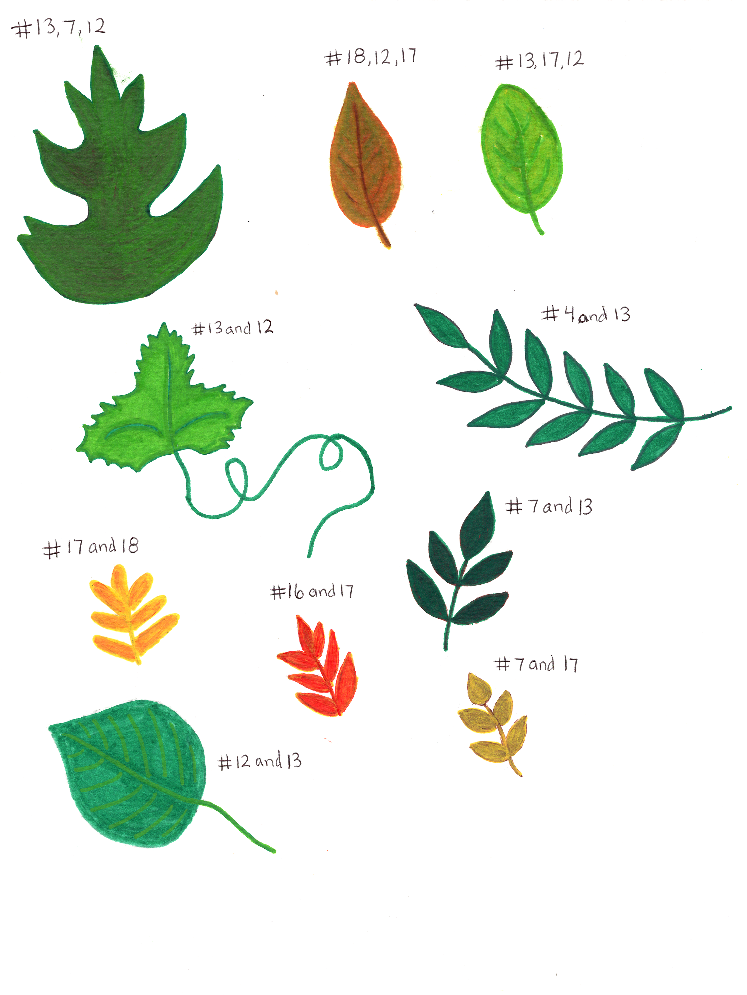 Differnt leaves.png